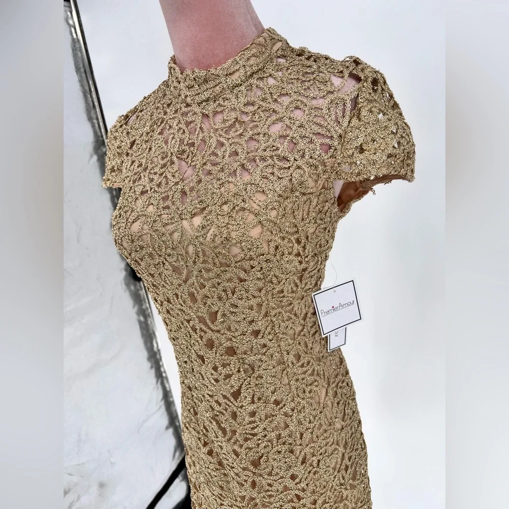 NWT Premier Amour Short Sleeve Sheath Lace Dress - Picture 6 of 14